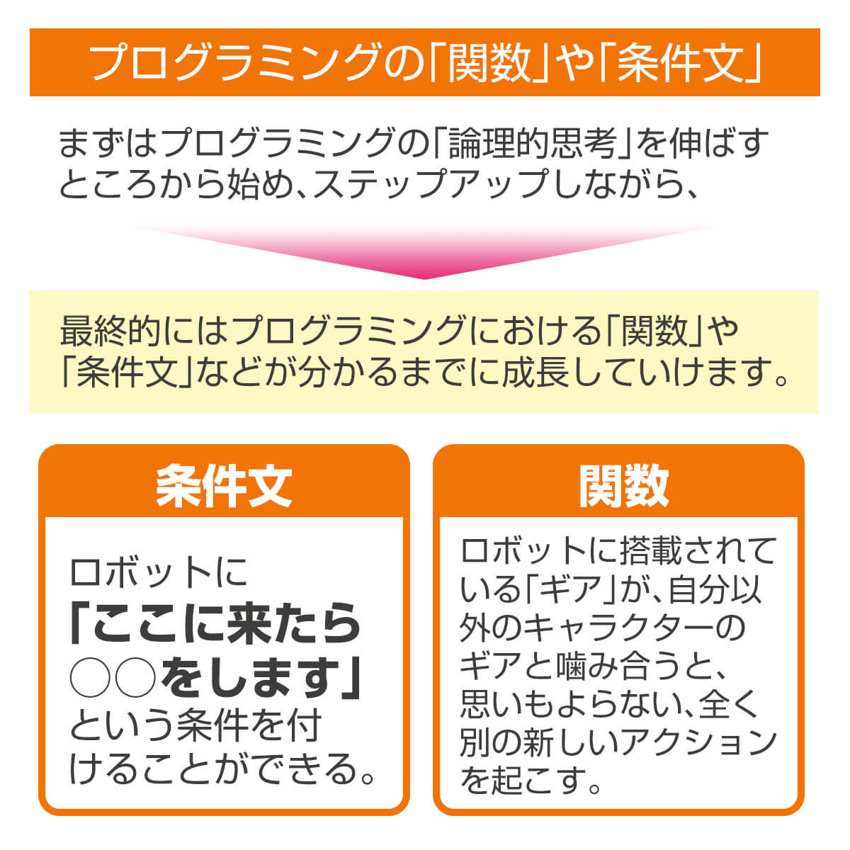 論理的思考から条件文や関数まで学べるプロ―ボ