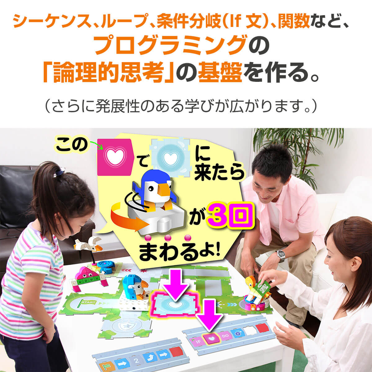 家族で楽しめるプロ―ボ